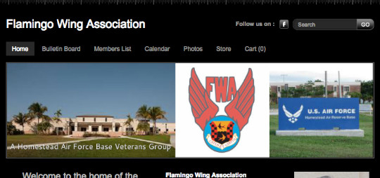 Flamingo Wing Association Old Site Spectra Web Designs Website Designer